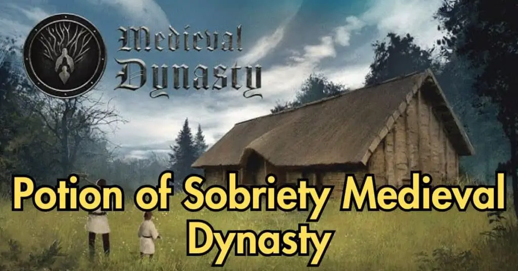 Potion of Sobriety Medieval Dynasty